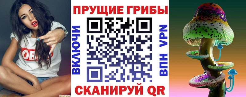 Псилоцибиновые грибы GOLDEN TEACHER  где купить наркотик  Тихорецк 